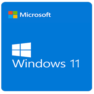 Window 11 Logo